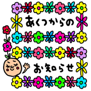 Many set akutu