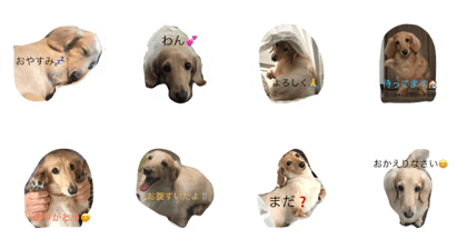 DAKS