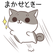 Shiba inu Hakata dialect 3