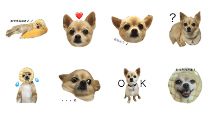Mixed dog, Kotaro's sticker