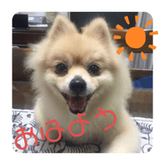 KOKO_20210423185712