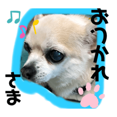 Saori_20210423190205