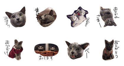 Russian Blue meter & cohar