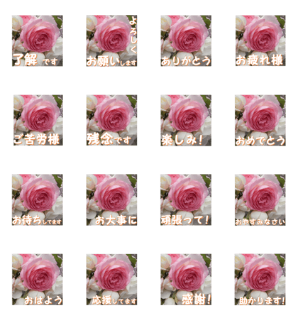 Greetings message of the rose_PdR_J