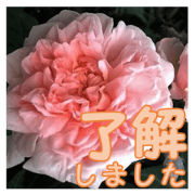 Greetings message of the rose_ME_J