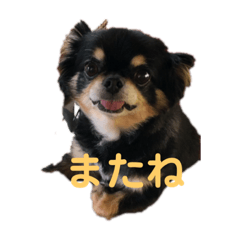 chi_20210423195533