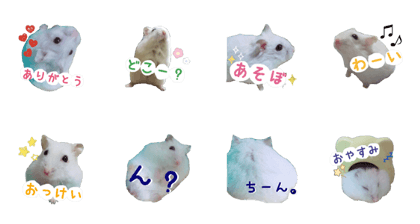 The hamster like rice cake