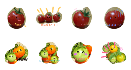 TOMATOstamp