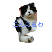NonbiriPan