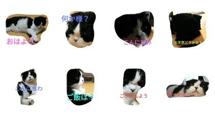 NonbiriPan