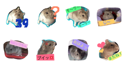 hamster's sticker abc