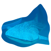 animal  2017