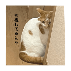 Sally_20210424005858