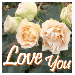 Greetings message of the rose_AL_E