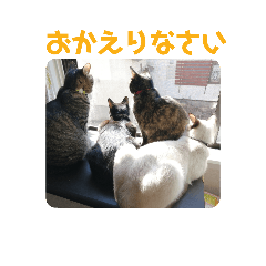 Cats Time_STAMP No.4