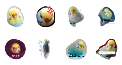 my princess Himeji of mojimoji