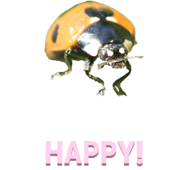 Simple English from Ladybugs2-BIG