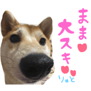 shibaryuto