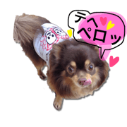 shinjyokuchan