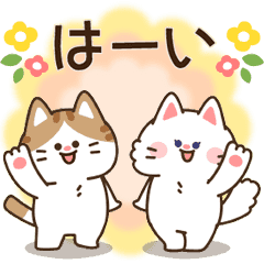 Childhood friends cats