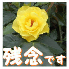 Greetings message of the rose_GB_J