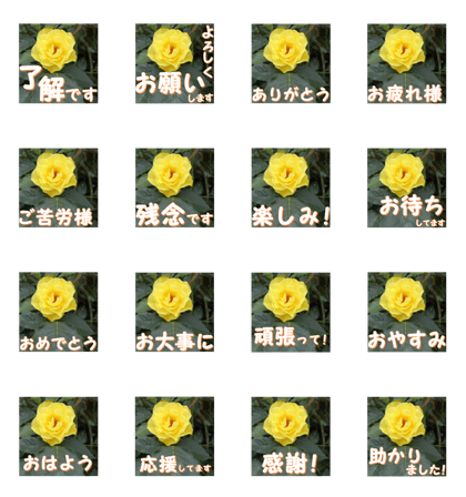 Greetings message of the rose_GB_J