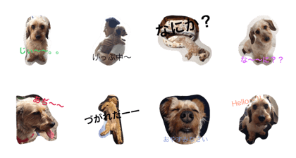 tama's everyday No.1