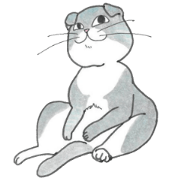 The real face of a cats