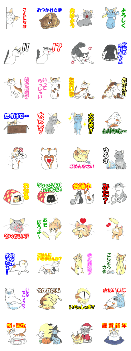 The real face of a cats