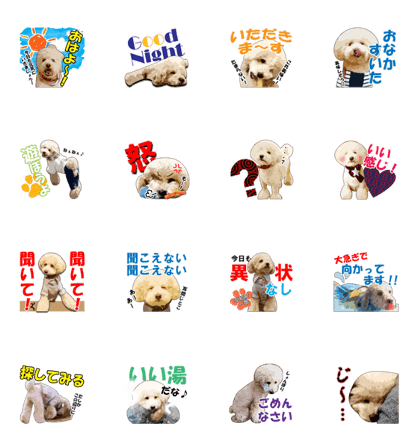 Doggy the Mutta2