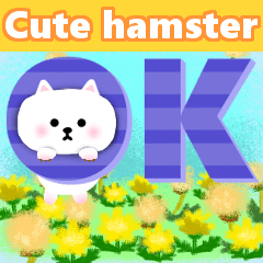 Moving cute hamster