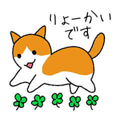 My cat will reply Part1-cyashiro
