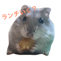 ノンタンさま専用•*¨*•.¸♬︎ のんたんさま のんたん様専用 のんたんさま専用 ごんたさま専用 ひー