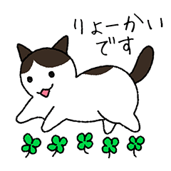 My cat will reply Part1-sirokiji