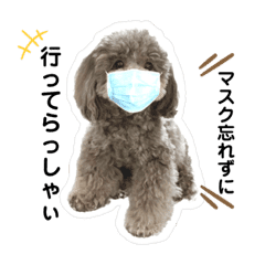 トイプードル Lineクリエイターズスタンプまとめ Stamplist Part 3 トイプードル Lineクリエイターズスタンプまとめ Stamplist Part 3