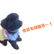 nonnongumi_20210424153113