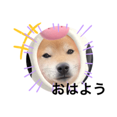 Shizu_20210424160557