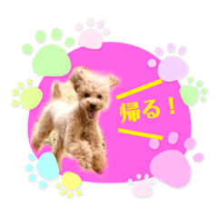 yuka_20210424161405