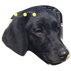 Ruby~love~ - Stiker LINE | LINE STORE