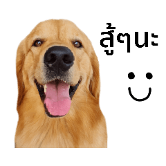 Nompriao & Metal Lovely Dogs 2 (Thai)