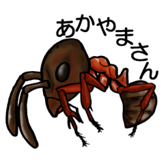 Illustration of ants