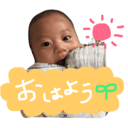 shingo...