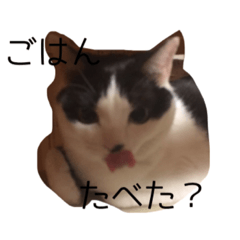 Yuka_20210424194724