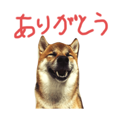 YAMADA_20210424210751