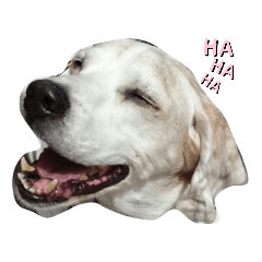 michiko_20210424211041