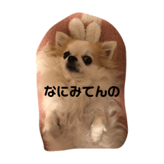 Miki_20210425000843