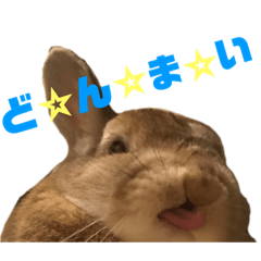 riho_20210425003931