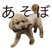 kotaroudesu.