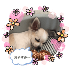 AKIKO_20210424190525