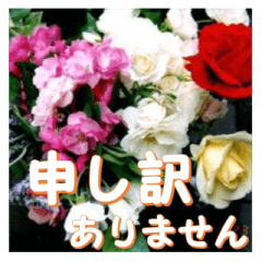 Greetings message of the rose_Assort6_J